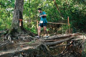 BIB: 
                            <button type="button" onclick="openModal(27550653)" class="btn btn-primary btn-sm float-right btn-popup" data-toggle="modal" data-target=".modal-high-quality">
                        <i class="fas fa-shopping-cart"></i> Add to Cart
                    </button>
                                            <button type="button" onclick="isThisMe(27550653, true)" class="btn btn-success btn-sm float-right btn-popup btn-isme hidden" data-toggle="tooltip" data-placement="bottom" title="นี่คือรูปของคุณใช่ไหม คลิกที่นี่เพื่อเอาเข้าอัลบั้ม">
                        <i class="fas fa-plus"></i> Add to album
                    </button>
                    <button type="button" onclick="isThisMe(27550653, false)" class="btn btn-warning btn-sm float-right btn-popup btn-isnotme hidden">
                        <i class="fas fa-ban"></i> Remove from album
                    </button>